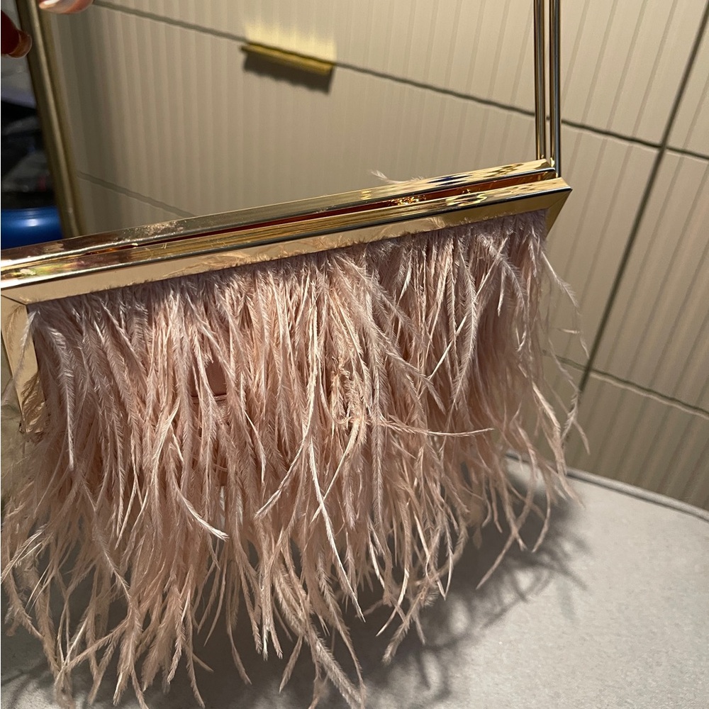 Gold Frame Clutch with Pink Feather Detail